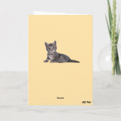 虎猫熱気球 カード (裏面)