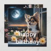 虎猫犬誕生日カード、犬の誕生日の犬、虎猫B シーズンカード (正面/裏面)