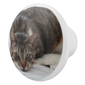 虎猫猫のカスタムな陶磁器のノブ セラミックノブ (右)