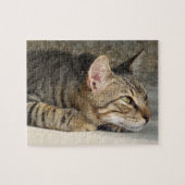 虎猫猫のジグソーパズル ジグソーパズル (横)