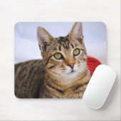 虎猫猫のマウスパッド マウスパッド (マウス)