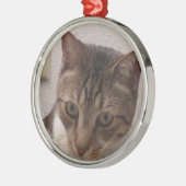 虎猫猫の優れた円形のオーナメント メタルオーナメント (左)
