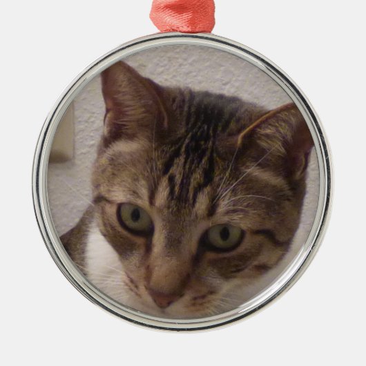 虎猫猫の優れた円形のオーナメント メタルオーナメント (正面)