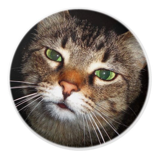 虎猫猫の引き セラミックノブ (正面)