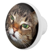 虎猫猫の引き セラミックノブ (右)