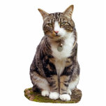虎猫猫の彫刻 フォトスカルプチャー<br><div class="desc">あなたの机に坐り、あなたのお気に入りのなペットを思い出させるかわいい虎猫猫の彫刻。</div>