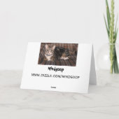 虎猫猫の父の日カード カード (裏面)