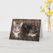 虎猫猫の父の日カード カード (黄色い花)