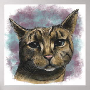 虎猫猫の現実的なスケッチの上で閉めて下さい ポスター