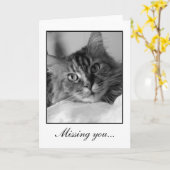 虎猫猫の甘い白黒写真 カード (黄色い花)