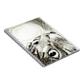 虎猫猫の豆電球のスケッチの芸術のノート ノートブック (右側)