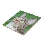 虎猫猫の顔のタイル タイル (側面)