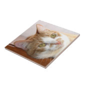 虎猫猫の顔のタイル タイル (側面)