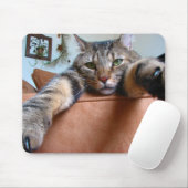 虎猫猫のmousepad マウスパッド (マウス)