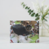 虎猫猫はがき ポストカード (スタンド正面)