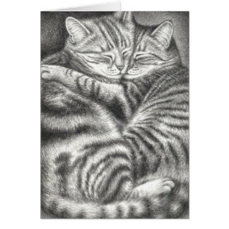 虎猫猫を抱き締めること