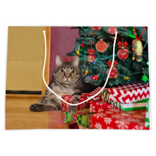 虎猫猫クリスマス ラージペーパーバッグ (正面)
