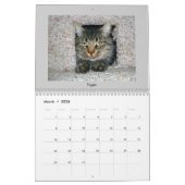 虎猫猫 カレンダー (3月 2026)