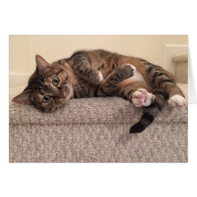 虎猫猫、カード (正面横)