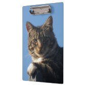 虎猫猫-クリップボード クリップボード (左)