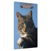 虎猫猫-クリップボード クリップボード (右)