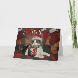 虎猫白黒猫のクリスマスカード シーズンカード