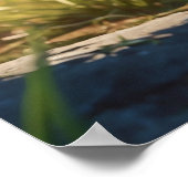 *~*虎猫観察キティ猫5:4ネコ猫 ポスター (角)