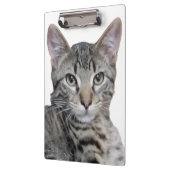 虎猫 クリップボード (左)