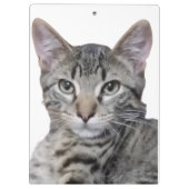 虎猫 クリップボード (裏面)