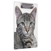 虎猫 クリップボード (右)