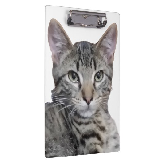 虎猫 クリップボード (右)