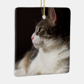 虎猫 セラミックオーナメント (右)