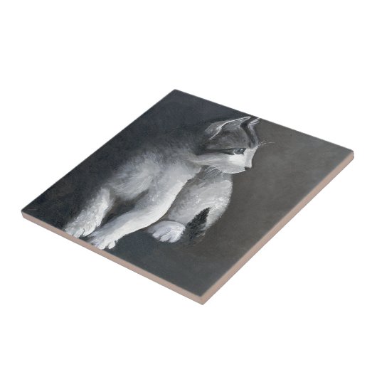 虎猫 タイル (側面)