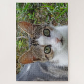 虎猫&ホワイトキャットジグソーパズル ジグソーパズル (縦)