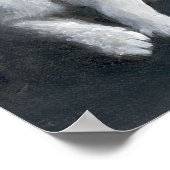 虎猫 ポスター (角)