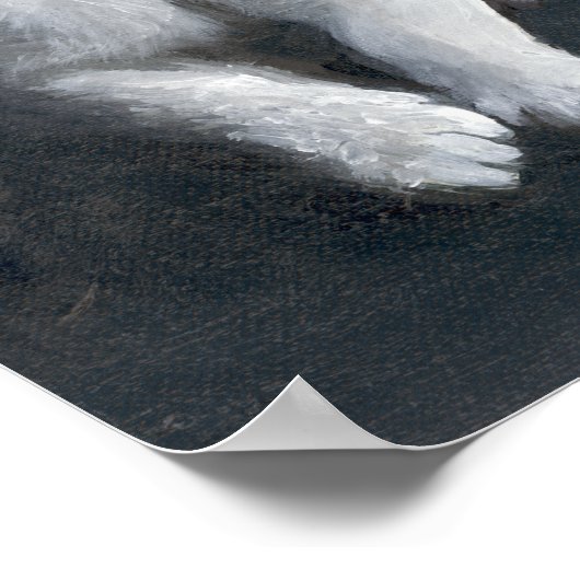 虎猫 ポスター (角)