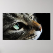 虎猫 ポスター (正面)
