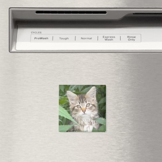 虎猫 マグネット (インサイチュ (食洗機))