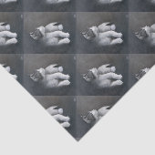 虎猫 薄葉紙 (詳細)