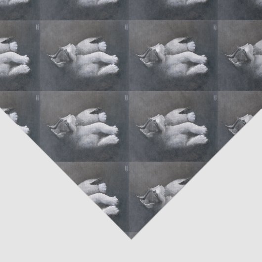 虎猫 薄葉紙 (詳細)