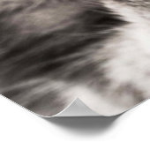 虎猫-114782 tabby catクローズアップポートレートfeline an ポスター (角)