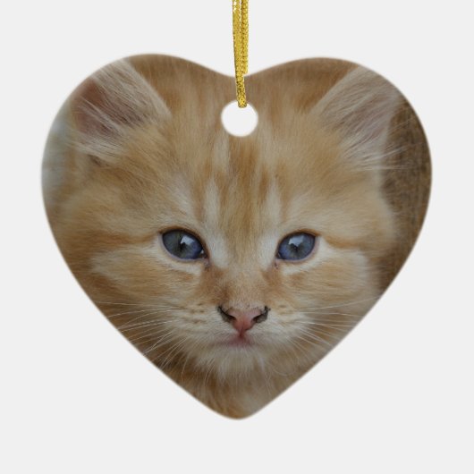虎猫Tomcat Kitten セラミックオーナメント (正面)
