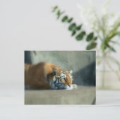 虎2 ポストカード (スタンド正面)