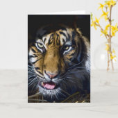 虎 カード (黄色い花)