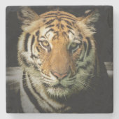 虎 ストーンコースター (正面)