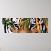 虎 ポスター (正面)