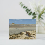 虎 ポストカード (スタンド正面)