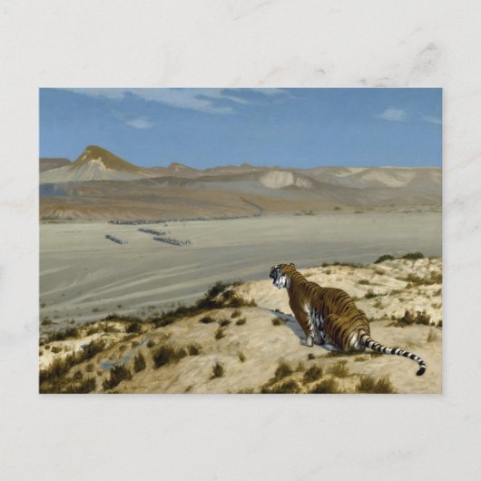 虎 ポストカード (正面)