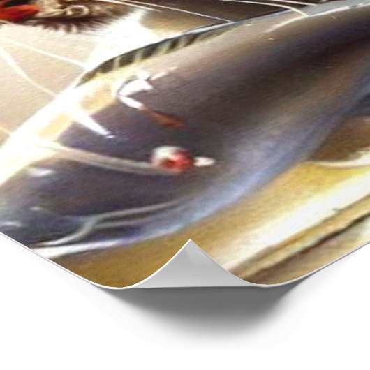 虎(3)野猫 ポスター (角)