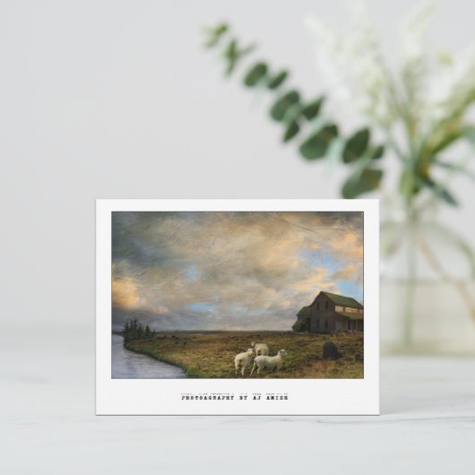 虐殺 –  ポストカード (スタンド正面)